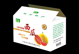 红蕾野西瓜