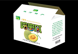 红蕾野哈密瓜