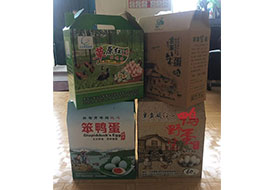 笨鸭蛋